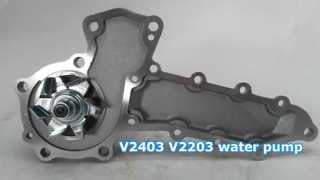 V2403 V2203 জল পাম্প