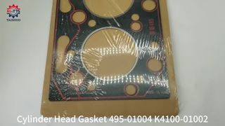 সিলিন্ডার হেড গ্যাসকেট 495 495ZC