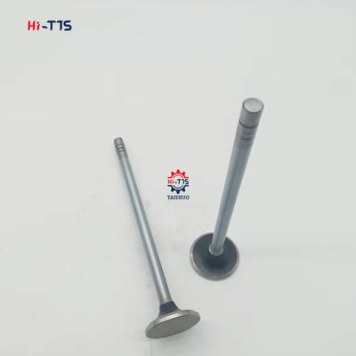 ভালো দাম E345C E345D E349D খননকারী C13 নিষ্কাশন ভালভ 224-3030 2243030 EX ভালভ অনলাইন