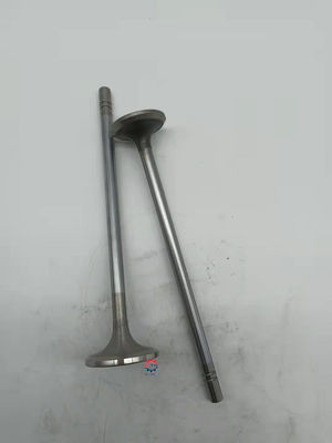 ভালো দাম Diesel Engine Spare Parts For  C15 C18 Exhaust Valve 153-7023 অনলাইন
