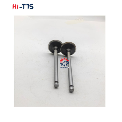 6BT 4BT ডিজেল ইঞ্জিনের খুচরা যন্ত্রাংশ 3901117 3920867 3920868