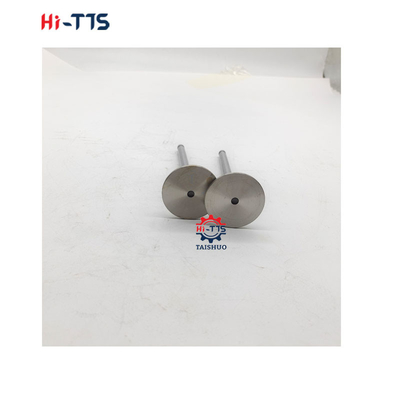 6BT 4BT ডিজেল ইঞ্জিনের খুচরা যন্ত্রাংশ 3901117 3920867 3920868