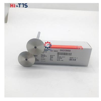 ভালো দাম 4BT 6BT 6D102 ডিজেল ইঞ্জিনের ইনটেক ভালভ এক্সজেস্ট ভালভ 4995554 3901117 3920867 3920868 অনলাইন