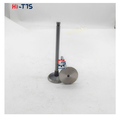 6BT 4BT ডিজেল ইঞ্জিনের খুচরা যন্ত্রাংশ 3901117 3920867 3920868