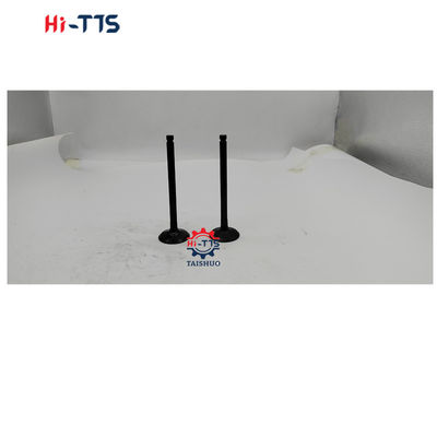 উচ্চ মানের 6D16 ইঞ্জিন ভালভ ME031937 ME031939 ME031558