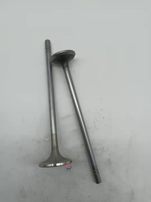 ভালো দাম Diesel Engine Spare Parts For  C15 C18 Exhaust Valve 153-7023 অনলাইন